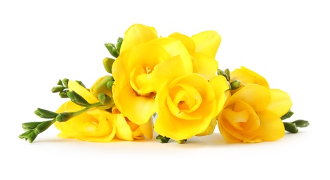 Photo of Bouquet of fresh freesia flowers isolated on white