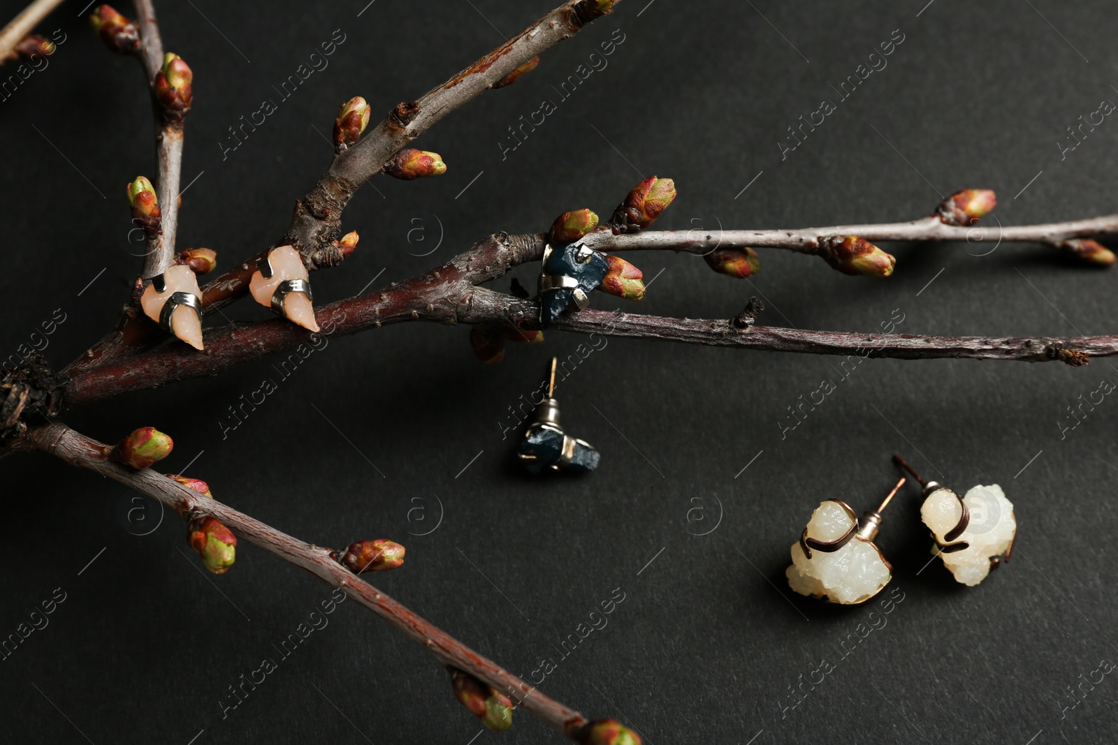Photo of Different stylish studs and branch on black background. Luxury jewelry