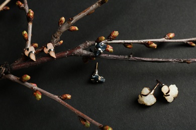 Different stylish studs and branch on black background. Luxury jewelry