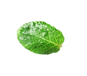 Green wet leaf of fresh mint isolated on white