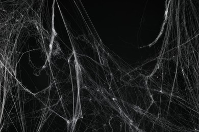 Creepy white spider web on black background