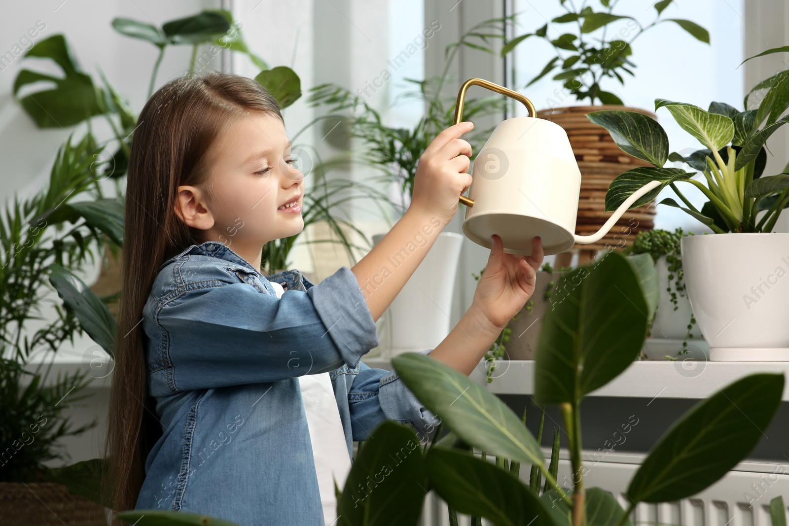 Photo of Cute little girl watering beautiful green plant at home. House decor