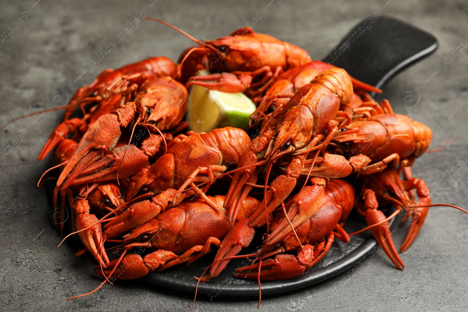 Photo of Delicious boiled crayfishes on grey table, closeup