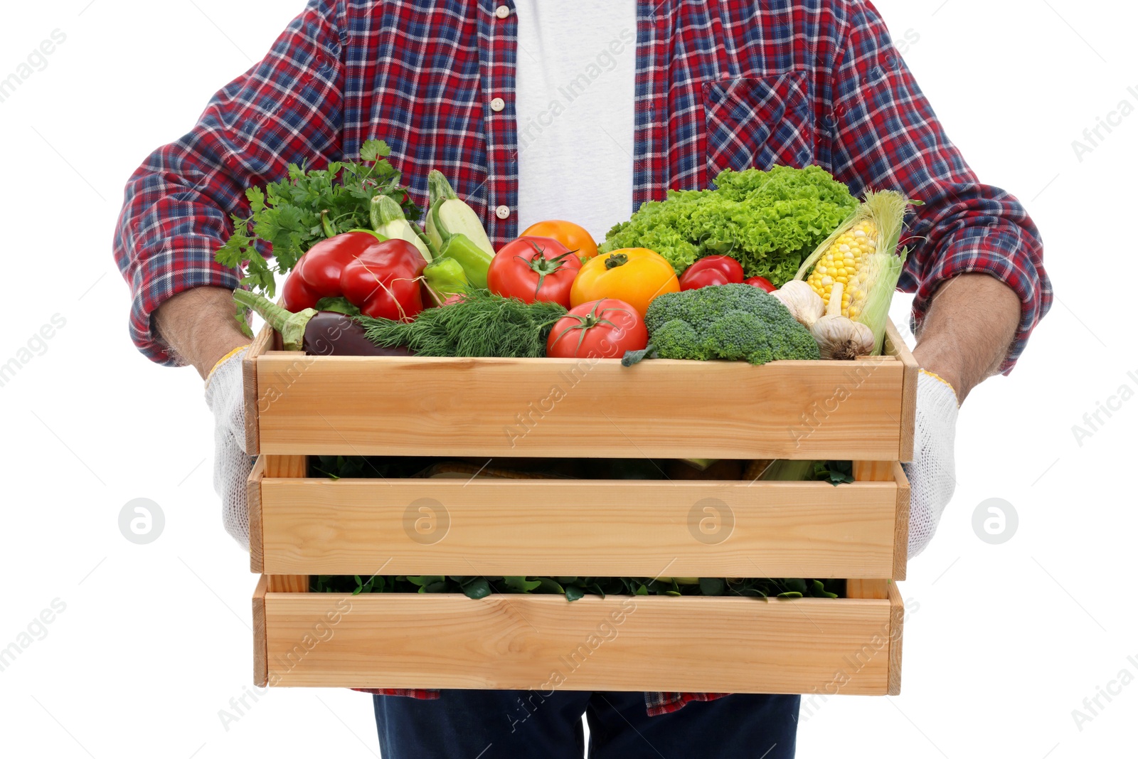 Photo of Harvesting season. Farmer holding wooden crate with vegetables on white background, closeup