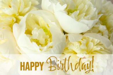 Image of Happy Birthday! Closeup view of beautiful white peony flowers