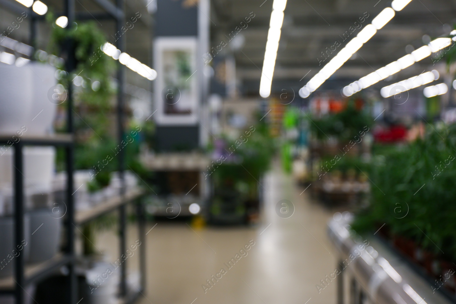 Photo of Blurred view of gardening department in mall. Bokeh effect