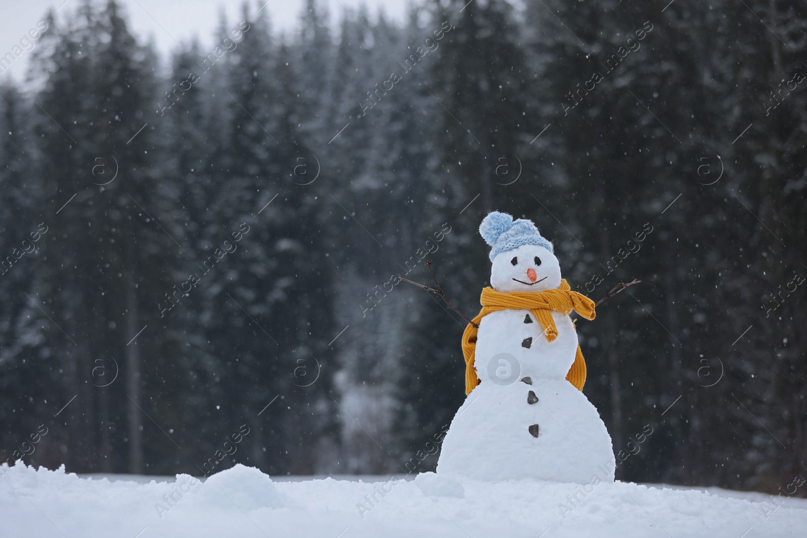 Photo of Adorable smiling snowman outdoors on winter day. Space for text