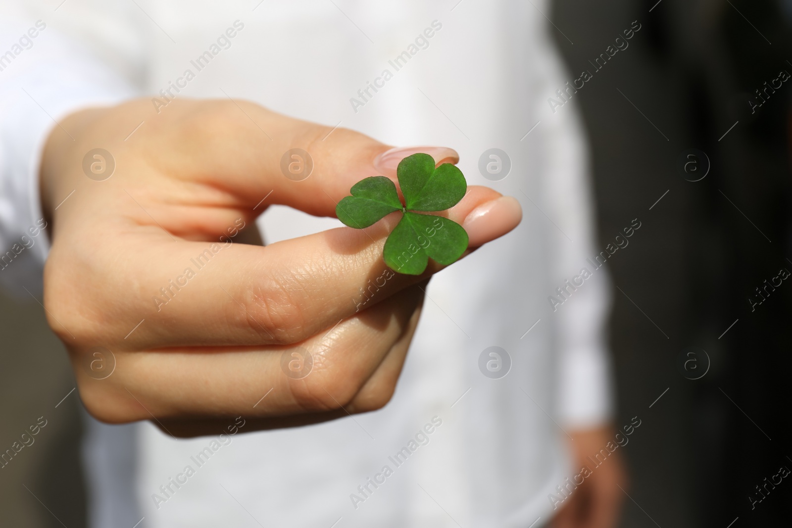 Photo of Woman holding green clover leaf, closeup view