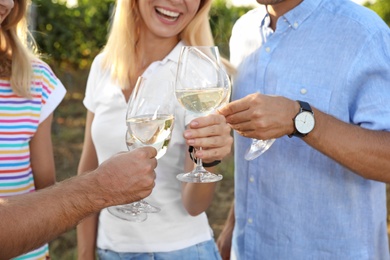 Friends holding glasses of wine and having fun on vineyard picnic