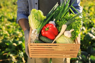 Photo of Man with crate of different fresh ripe vegetables on farm, closeup