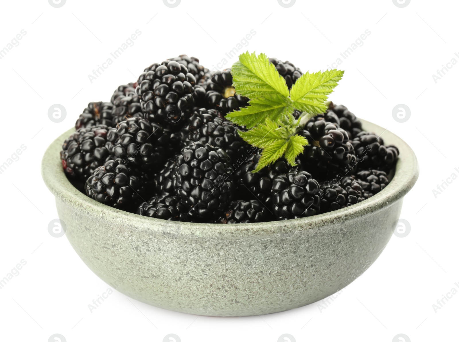 Photo of Bowl with fresh ripe blackberries isolated on white