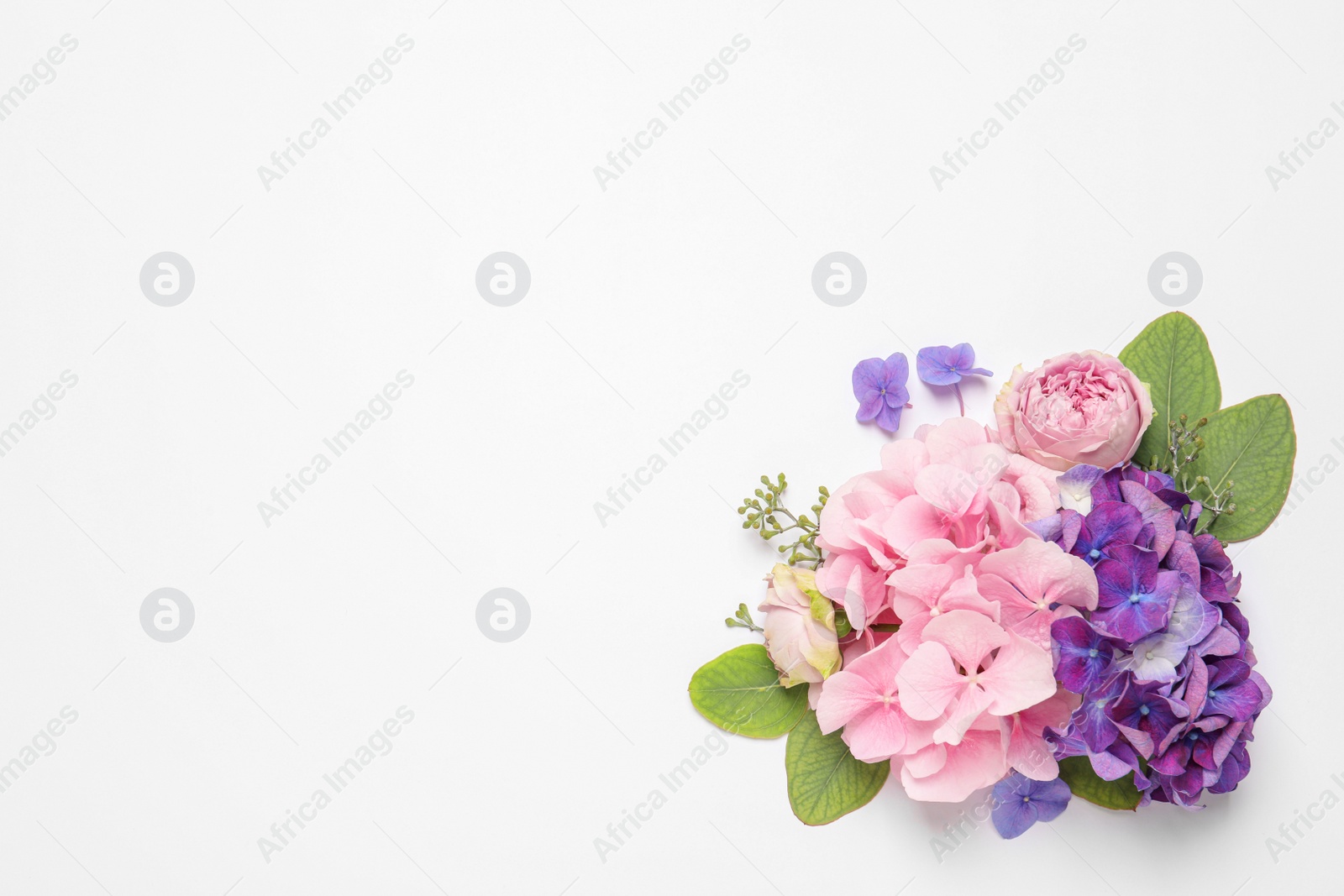 Photo of Beautiful composition with hortensia flowers on white background, flat lay. Space for text