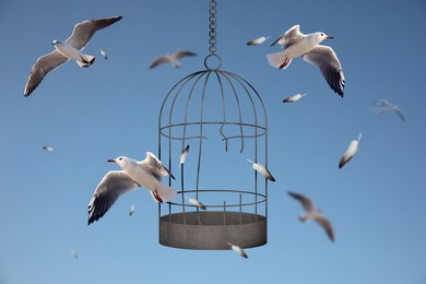 Image of Freedom. Birds flying out of broken cage on light blue background