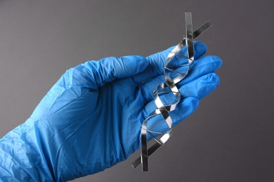 Photo of Scientist with DNA molecular chain model made of metal on grey background, closeup