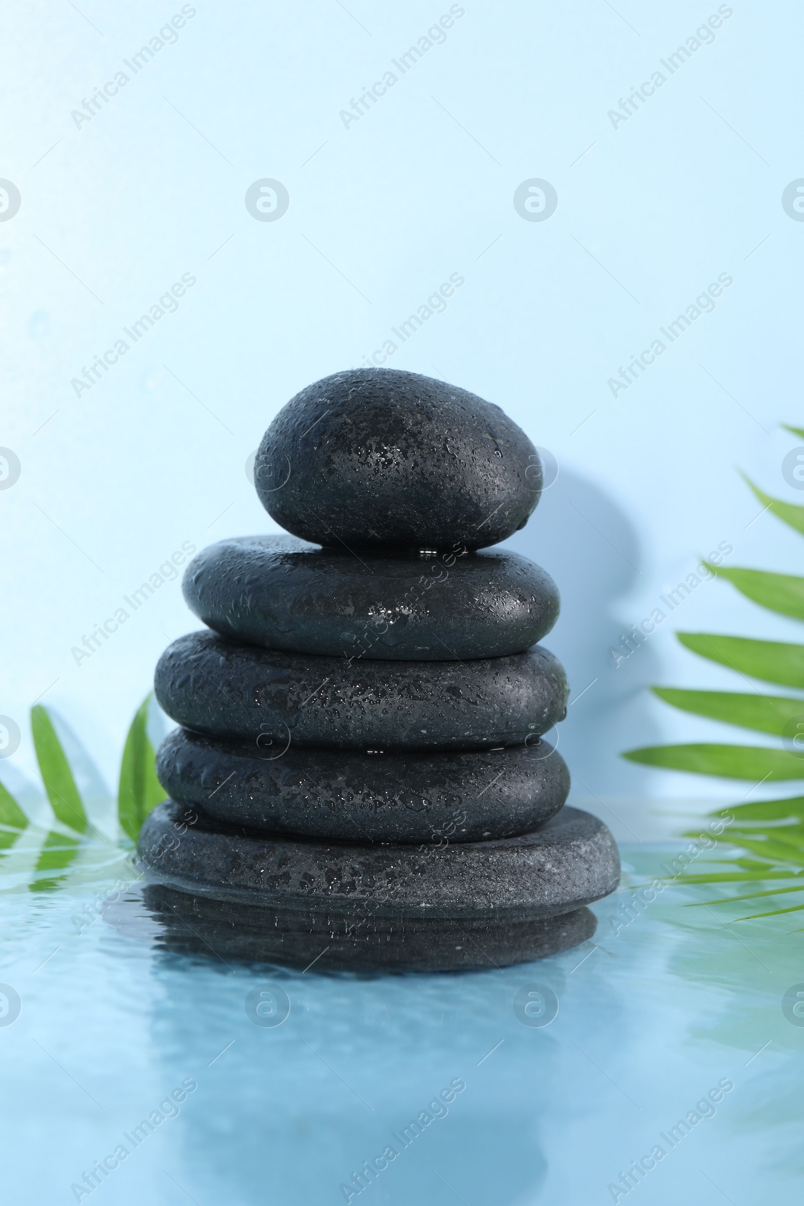 Photo of Spa stones and palm leaves in water on light blue background