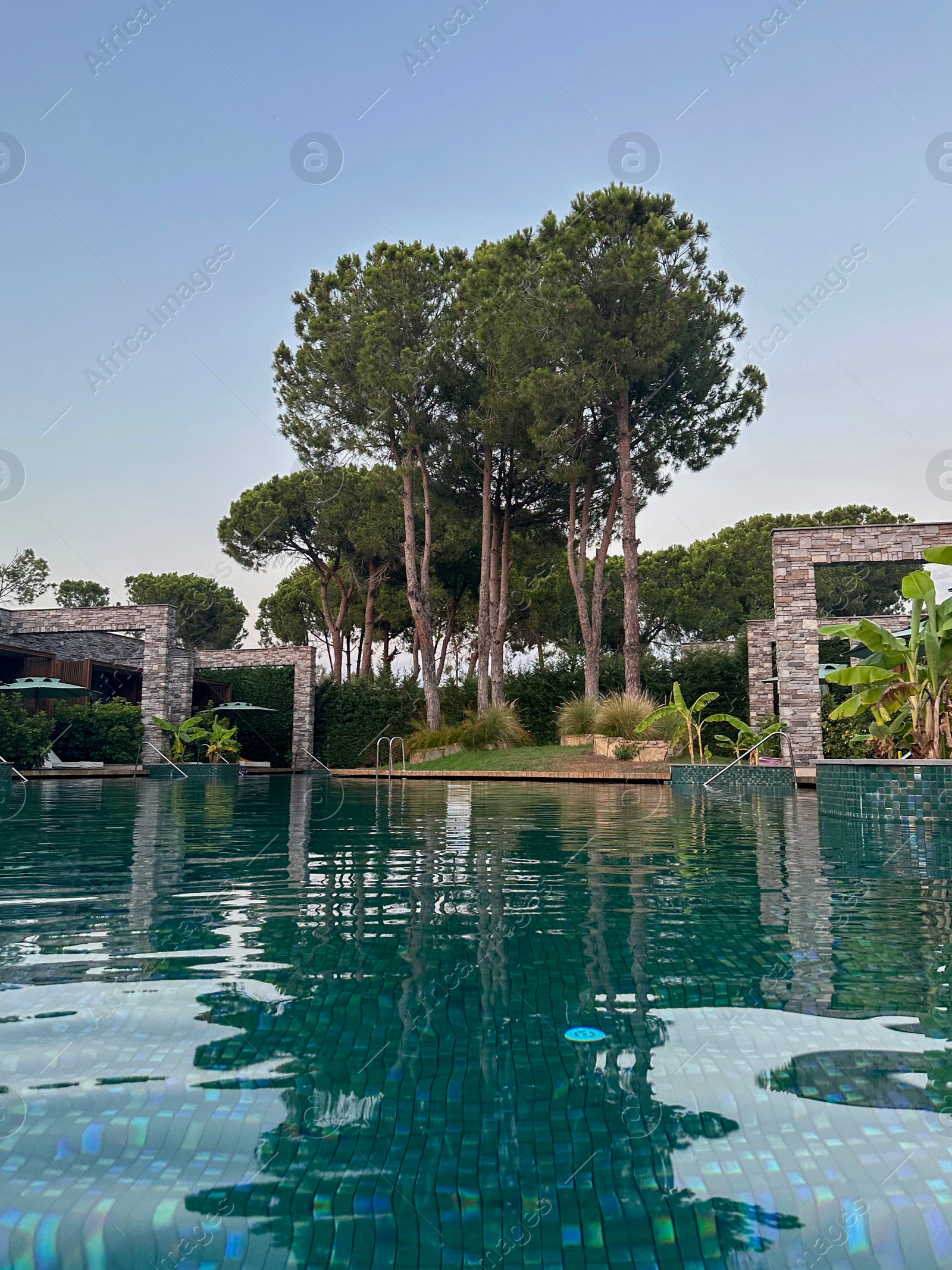Photo of Swimming pool and tropical plants at luxury resort
