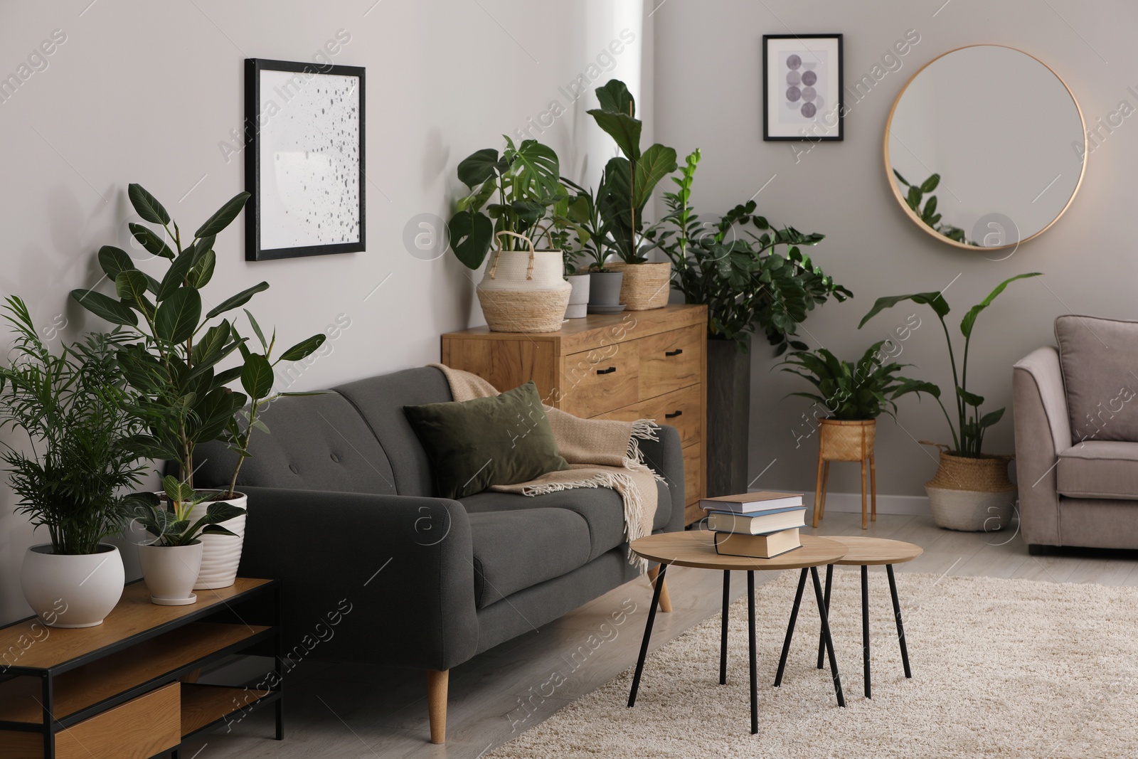 Photo of Living room with stylish furniture and beautiful houseplants. Interior design