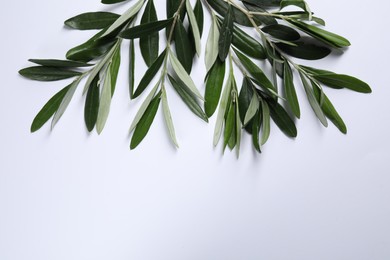 Olive twigs with fresh green leaves on white background, flat lay. Space for text