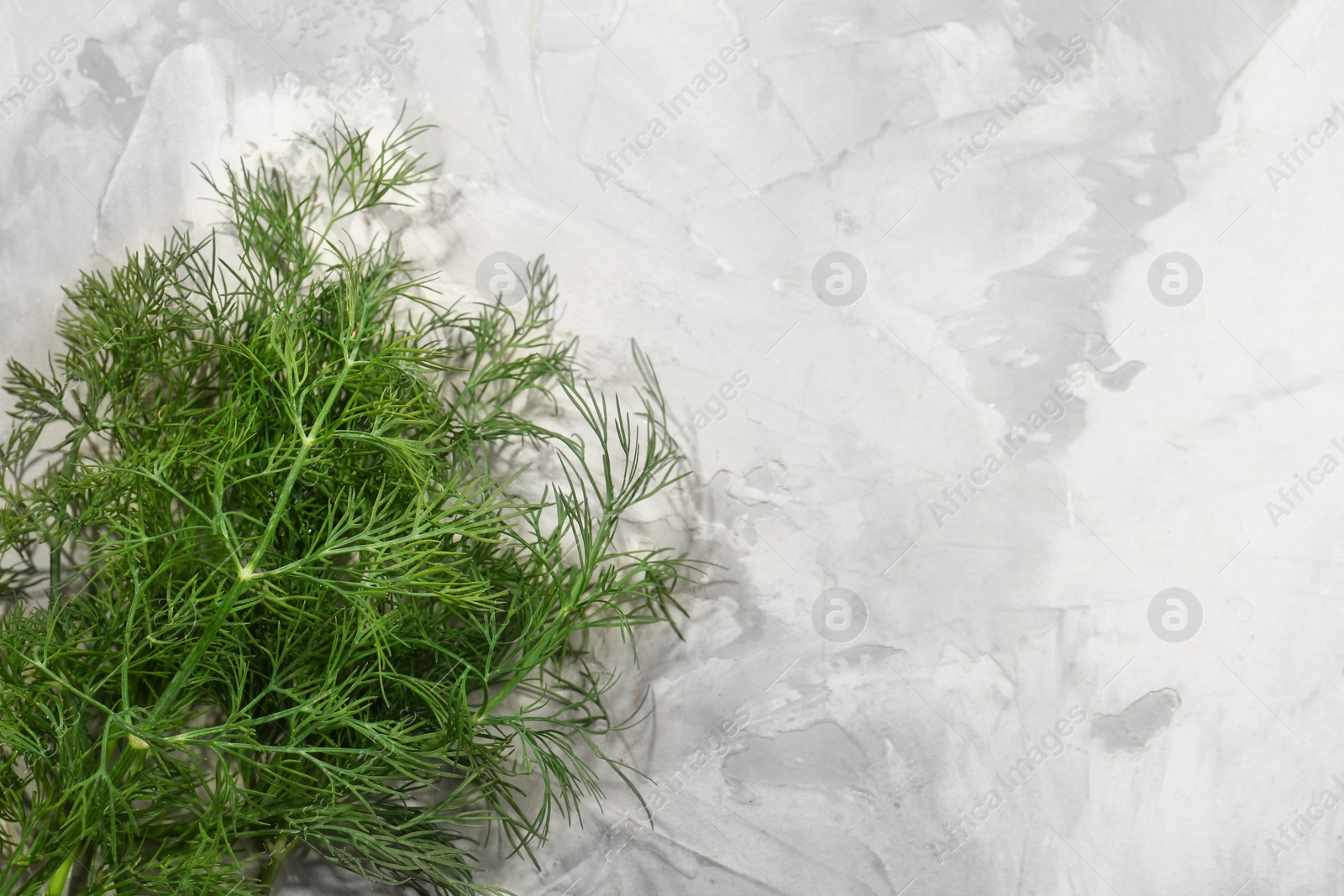 Photo of Fresh green dill on light grey table, top view. Space for text