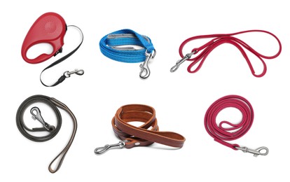 Different pet leashes on white background, collage design