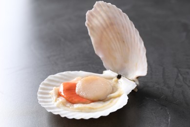 Photo of Fresh raw scallop with shell on grey table, closeup