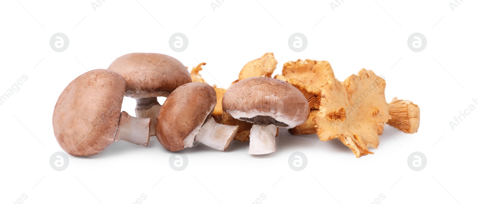 Photo of Fresh chanterelle and champignon mushrooms isolated on white