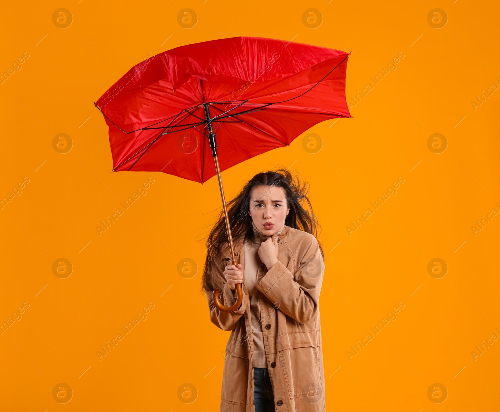 Photo of Emotional woman with umbrella caught in gust of wind on yellow background