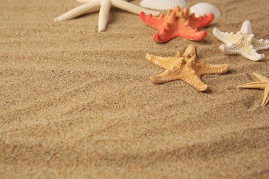 Photo of Beautiful sea stars on sand, space for text