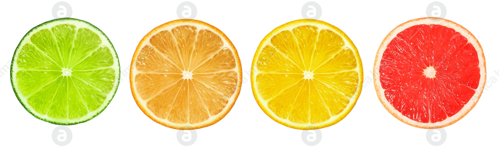 Image of Set of different citrus slices on white background, top view. Banner design