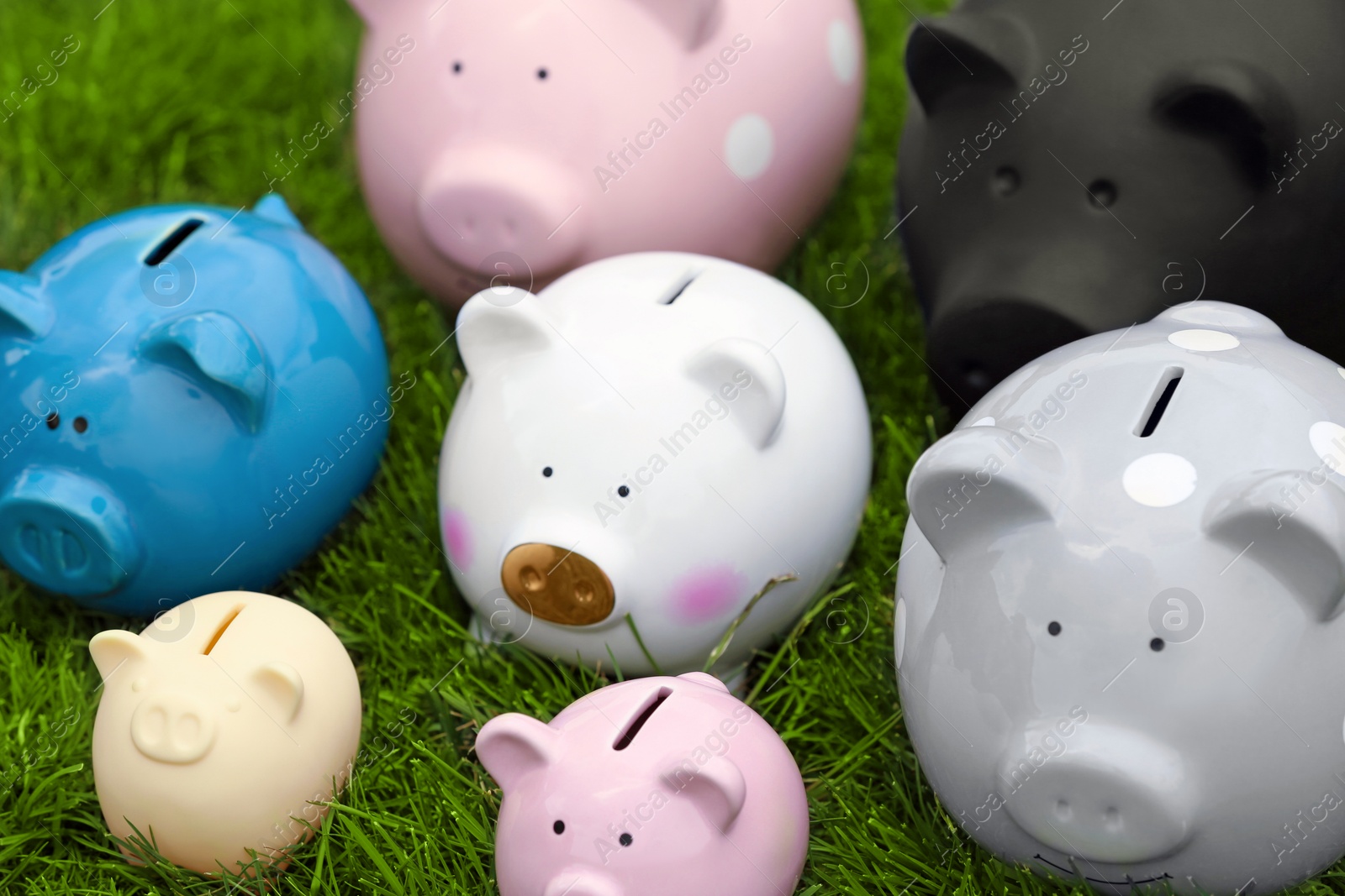 Photo of Different piggy banks on green grass outdoors