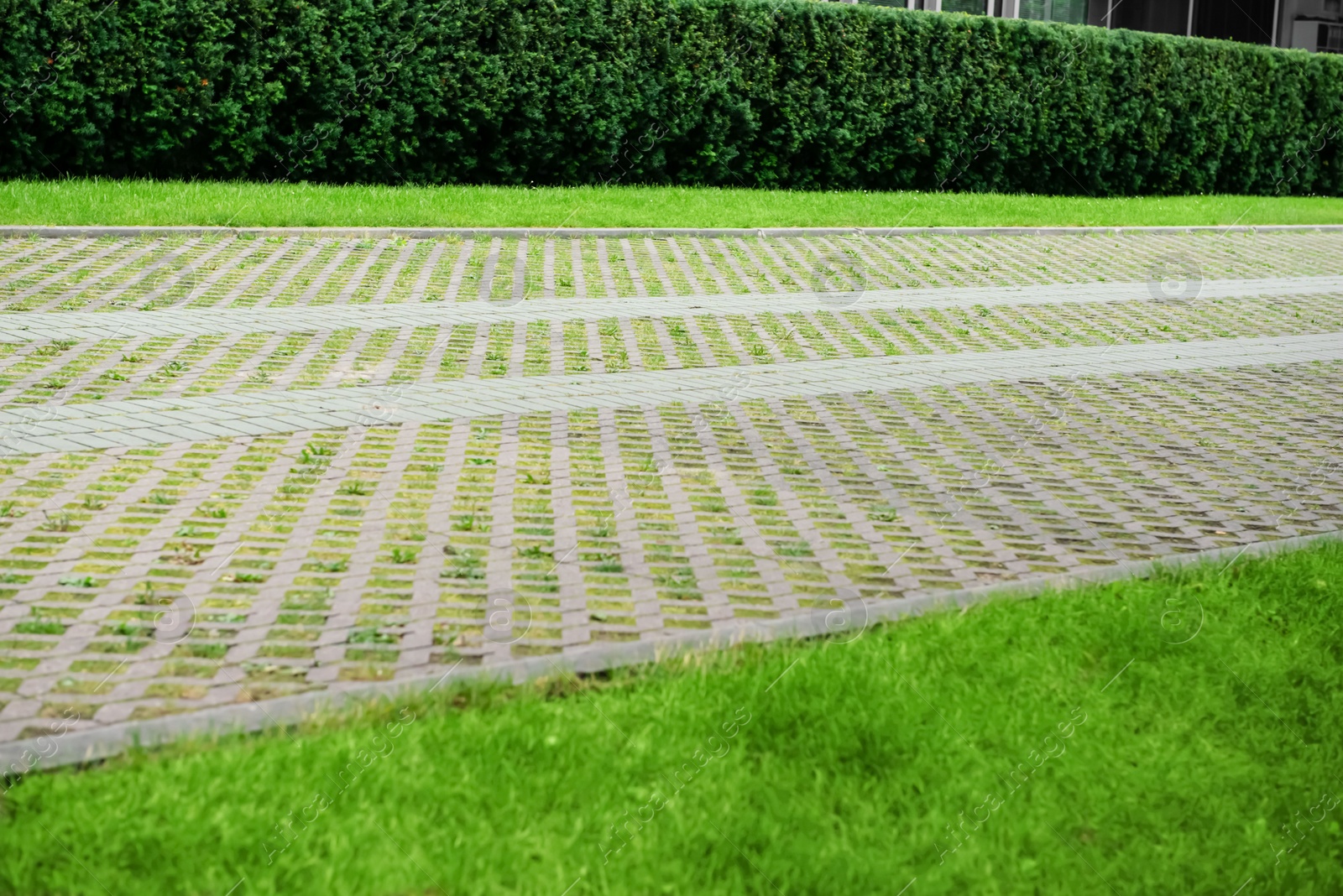 Photo of View of sidewalk path and fresh green grass on sunny day. Footpath covering