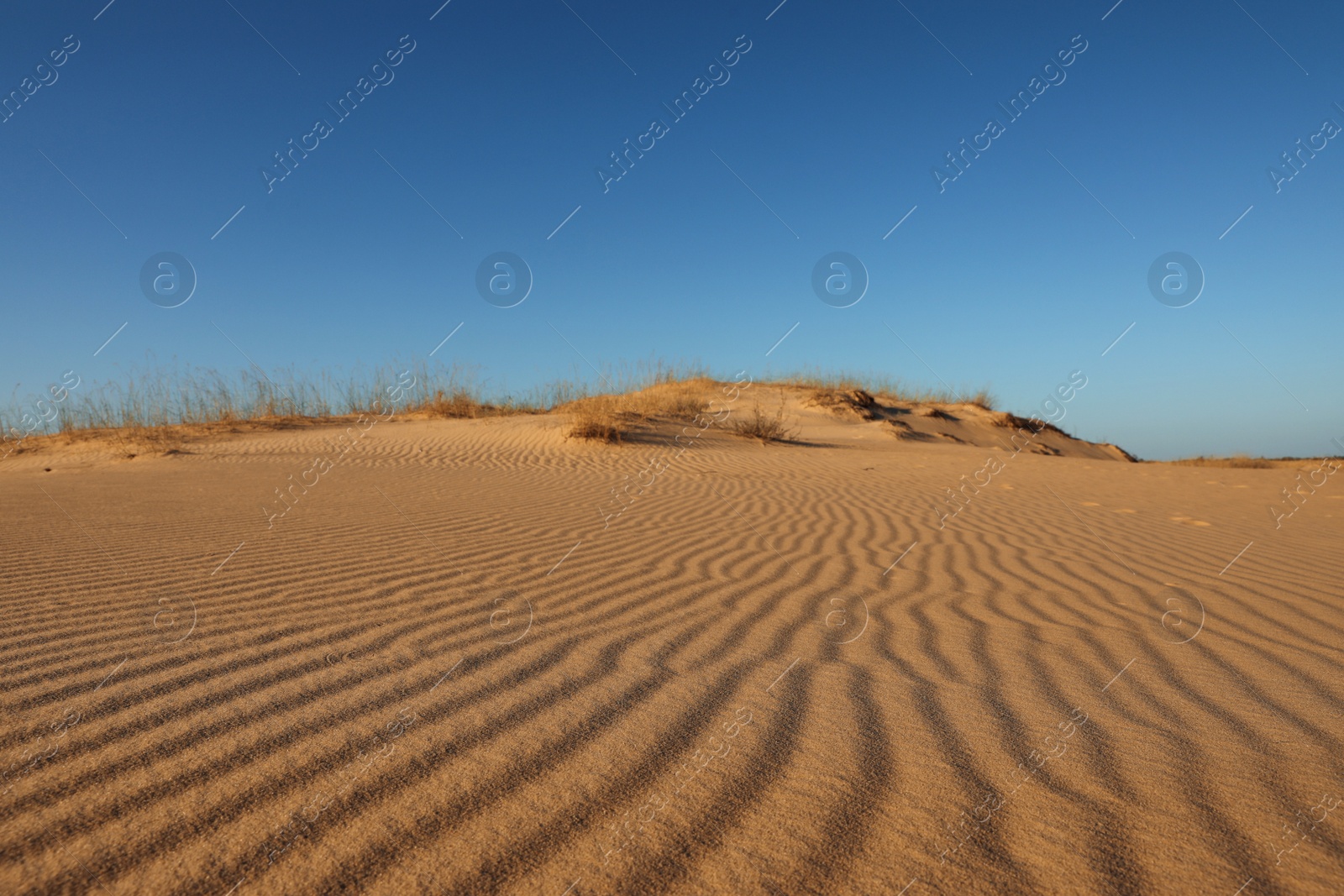 Photo of Picturesque view of desert on sunny day