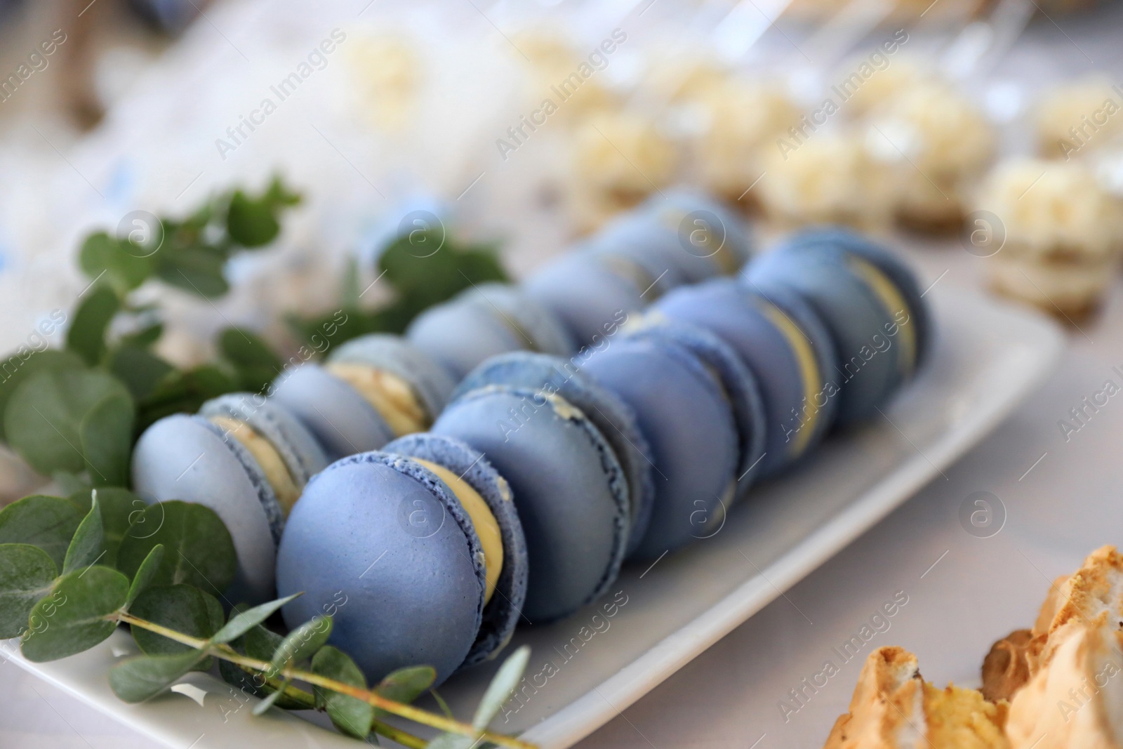 Photo of Delicious sweet macarons served on table, closeup