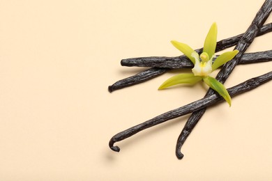 Photo of Vanilla pods and beautiful flower on beige background, top view. Space for text