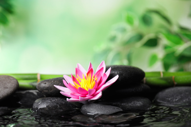 Photo of Beautiful zen garden with lotus flower and pond on blurred green background