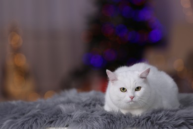 Photo of Christmas atmosphere. Cute cat lying on fur rug against blurred lights. Space for text