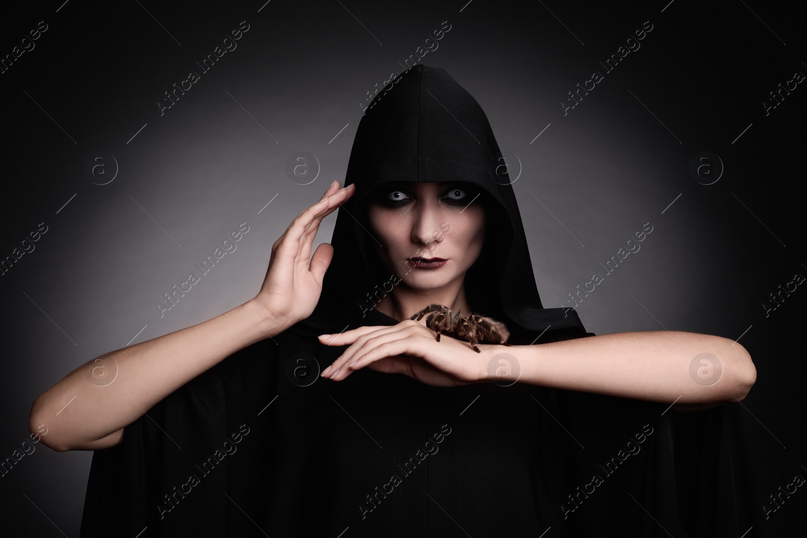 Photo of Mysterious witch with spooky spider on dark background