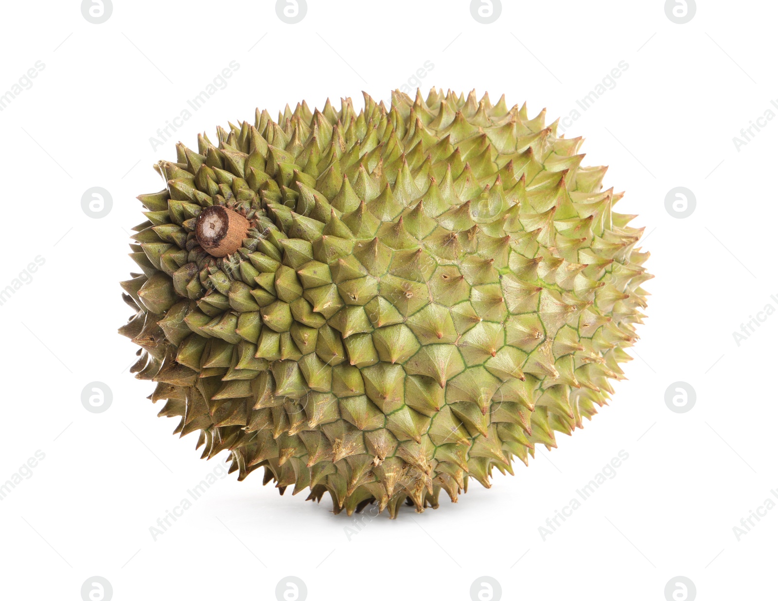 Photo of One whole ripe durian isolated on white