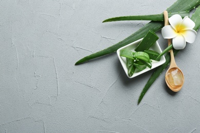 Flat lay composition with aloe vera leaves and space for text on gray background