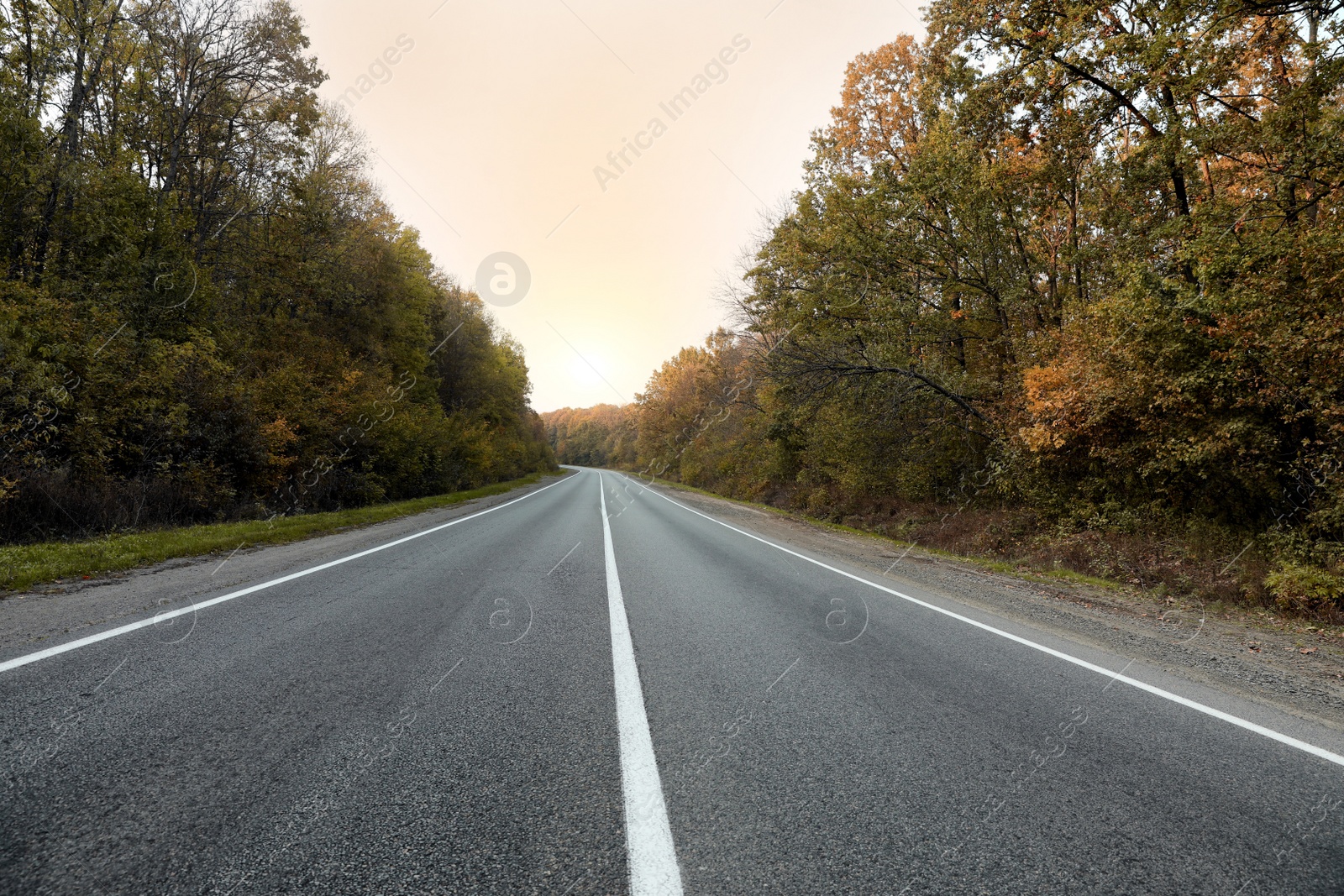 Photo of Beautiful view of empty asphalt highway and autumn trees