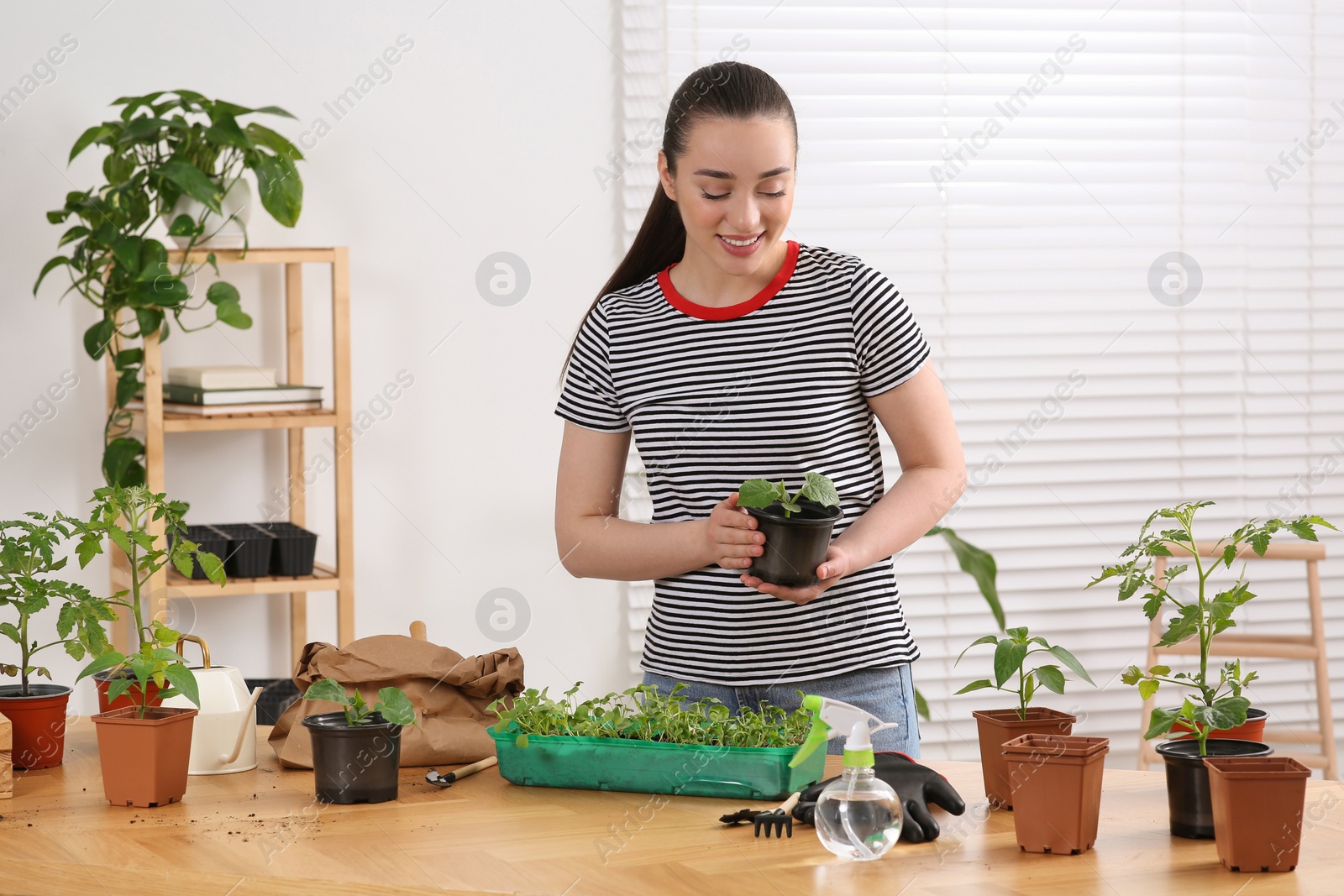 Photo of Planting seedlings. Happy woman near wooden table with different plants in room