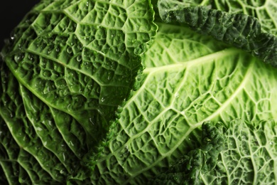 Photo of Fresh green savoy cabbage as background, closeup