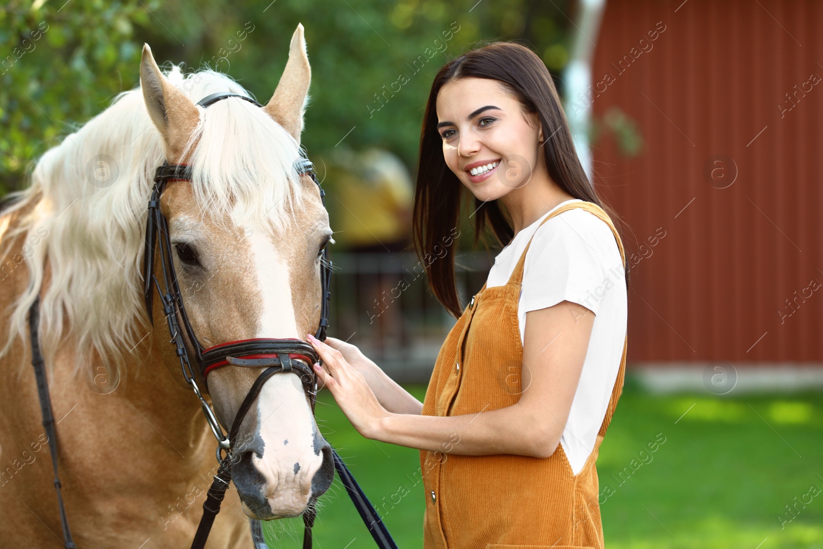 Photo of Palomino horse in bridle and young woman outdoors