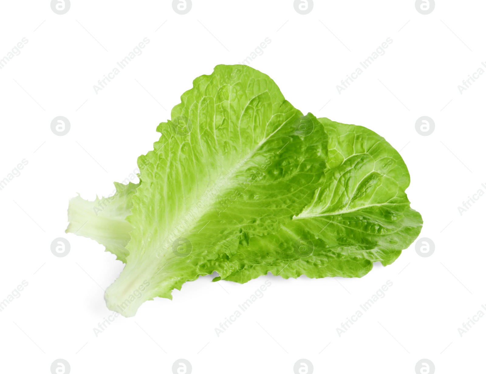 Photo of Fresh green leaves of romaine lettuce isolated on white