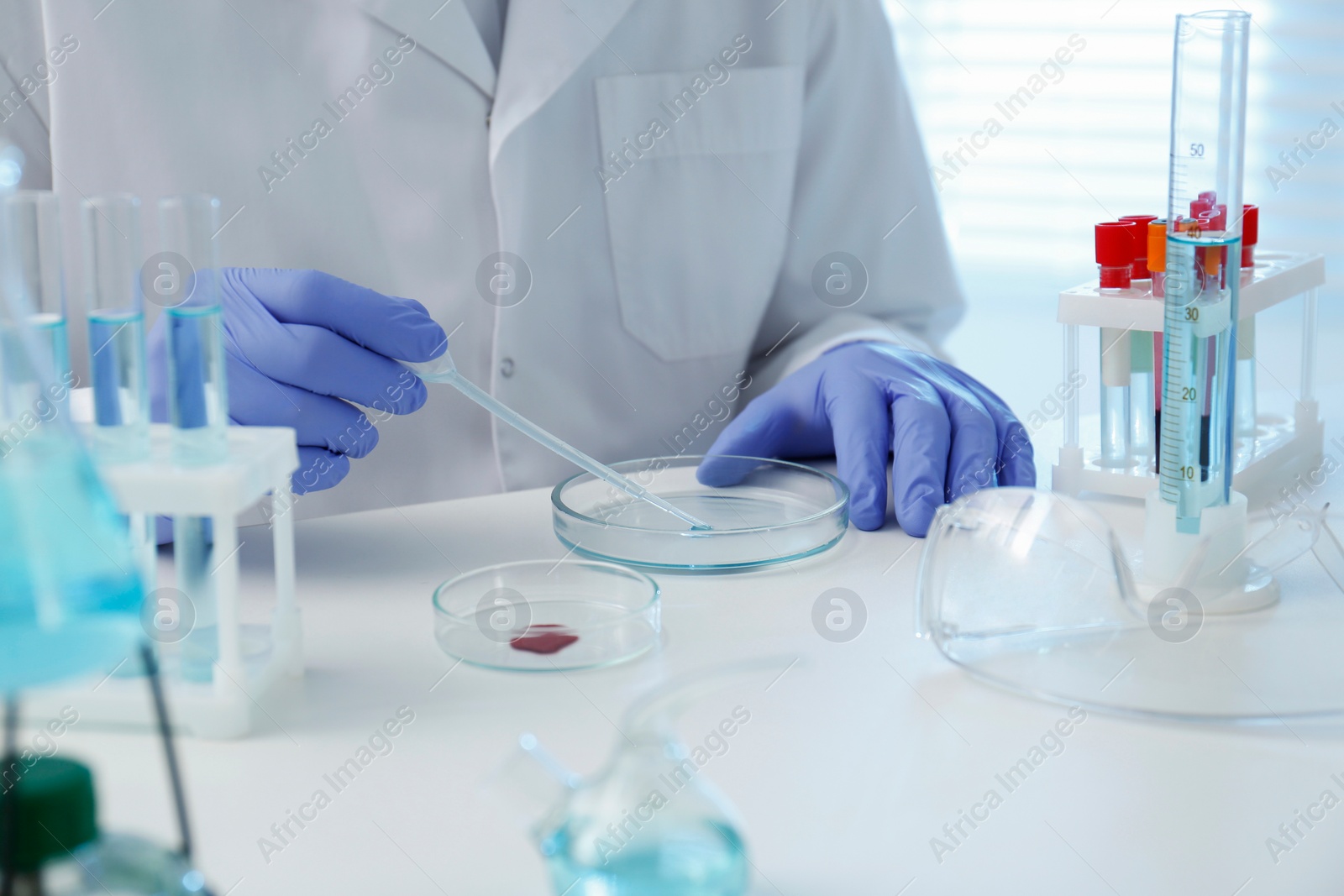 Photo of Scientist dripping sample into Petri dish in laboratory, closeup. Medical research