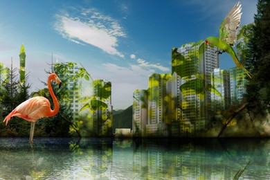Image of Double exposure of natural scenery with exotic birds and buildings in city