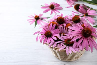 Photo of Beautiful echinacea flowers in wicker basket on white wooden table, space for text
