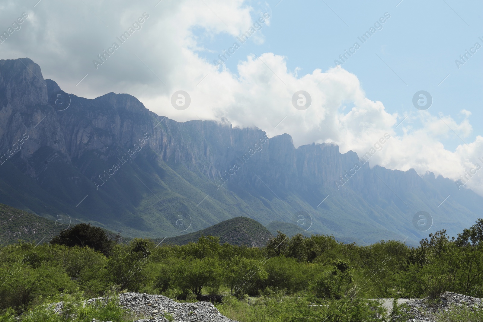 Photo of Picturesque view of beautiful mountain and trees under cloudy sky