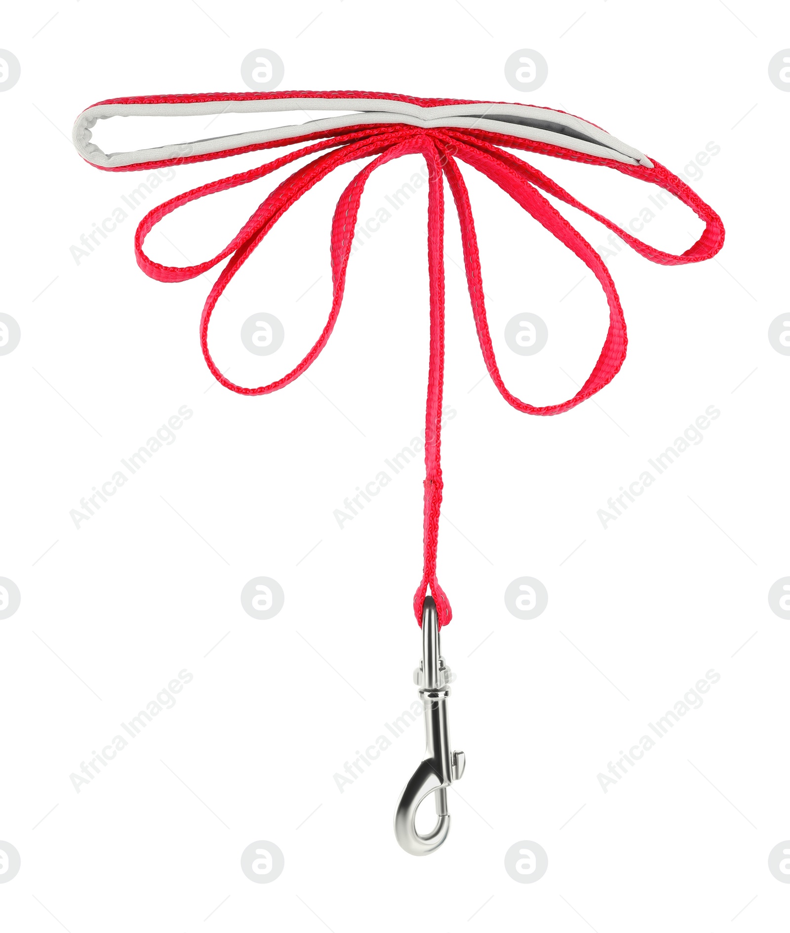 Photo of New red dog leash isolated on white