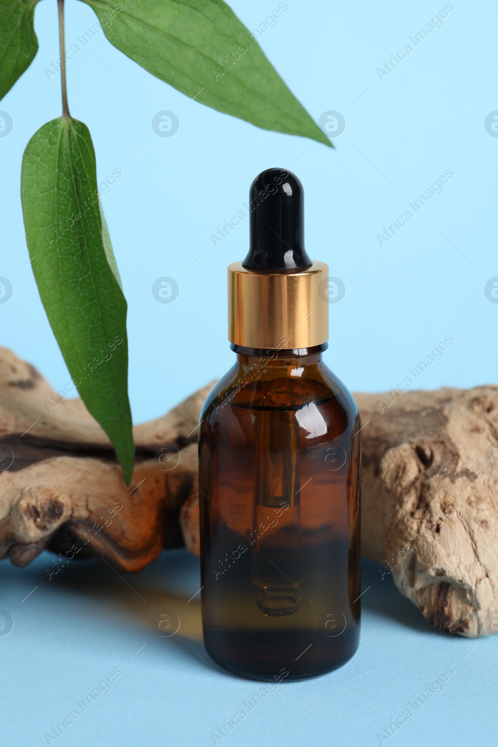 Photo of Bottle with cosmetic oil, green leaves and wooden snag on light blue background, closeup